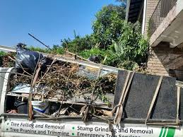 Best Hoarding Cleanup  in Daniels, WV